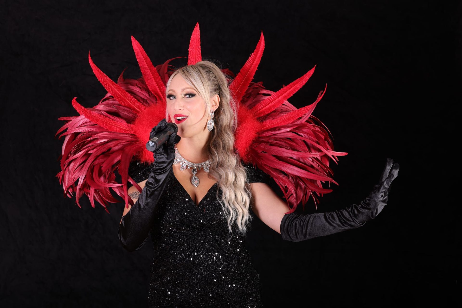 La Folie des Danseurs - Mariella - Cabaret Normandie - Spectacle et cours de danse Calvados La Folie des Danseurs - Mariella - Cabaret Normandie - Spectacle et cours de danse Calvados